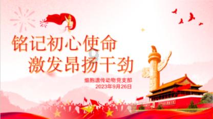 幻想纹章3.4